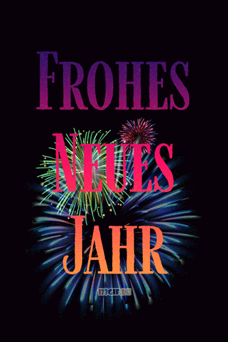 frohes-neues-jahr-feuerwerk-0142